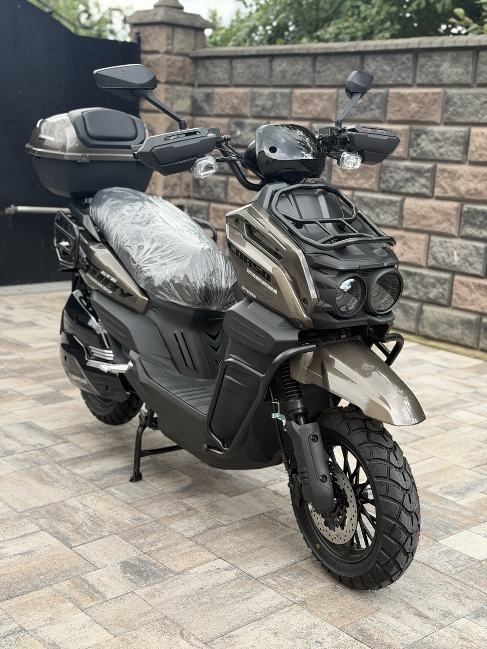 Corso Black Fury